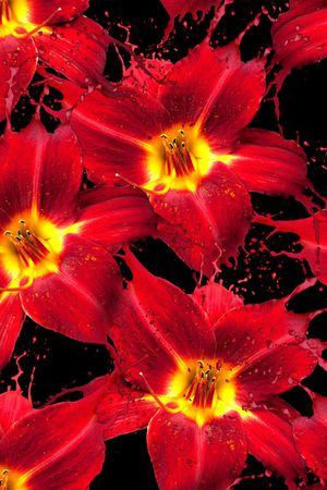 数码华亿平台印花华亿平台图片