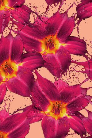 数码华亿平台印花华亿平台图片