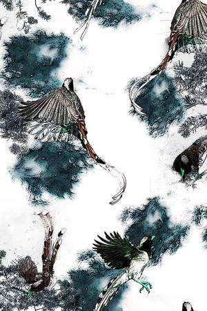 数码华亿平台印花华亿平台图片