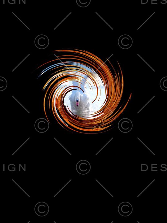 定位花印花华亿平台图片