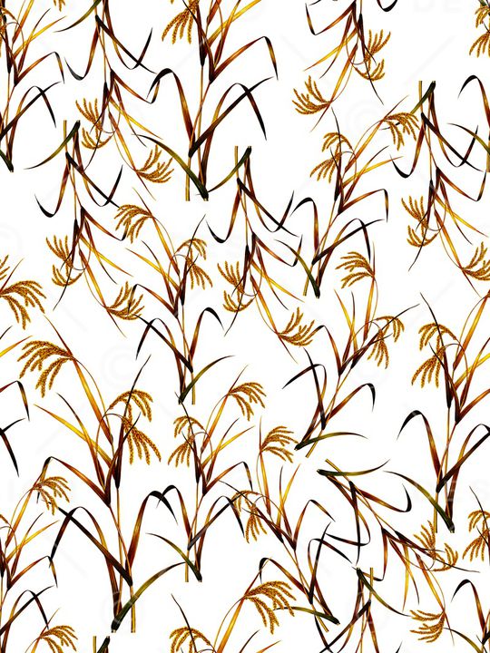 绿植树叶印花华亿平台图片