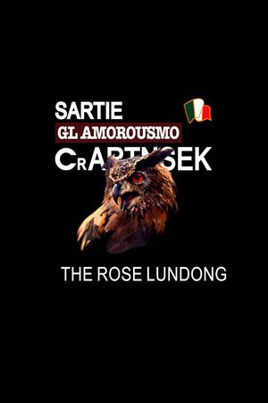 猫头鹰印花华亿平台图片