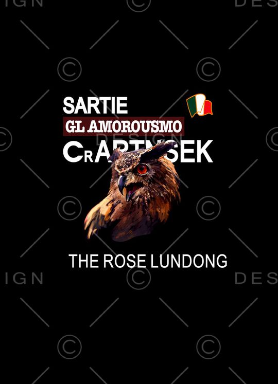 猫头鹰印花华亿平台图片