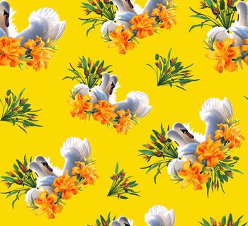 1193652-天鹅天堂鸟花卉2