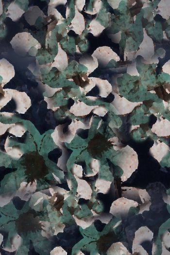 1194429-190216-青蓝雅韵-10-0