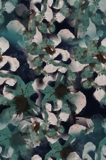 1194430-190216-青蓝雅韵-10-2