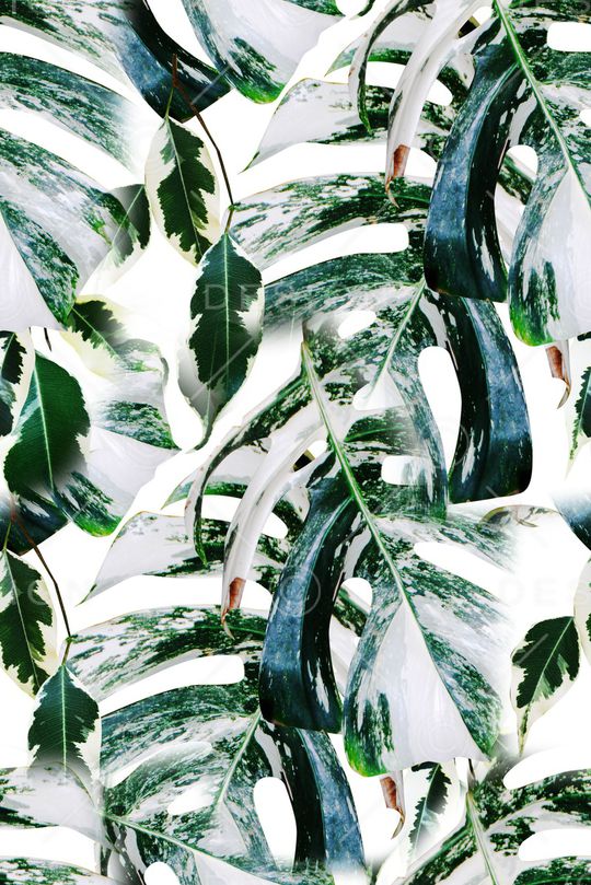 绿植树叶印花华亿平台图片