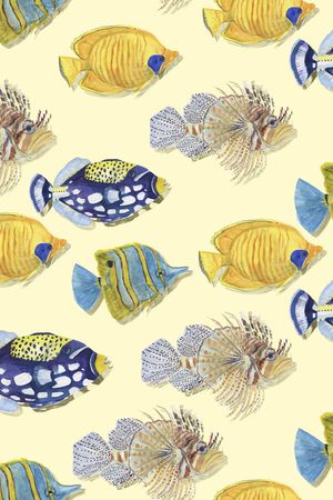 大牌风印花华亿平台图片