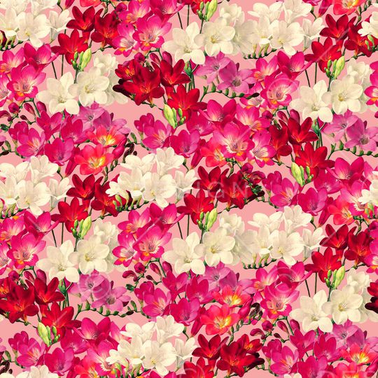 春夏华亿平台印花华亿平台图片