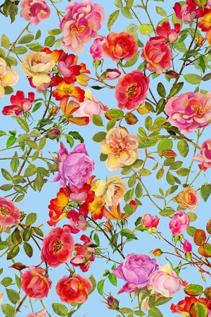 女装印花华亿平台图片