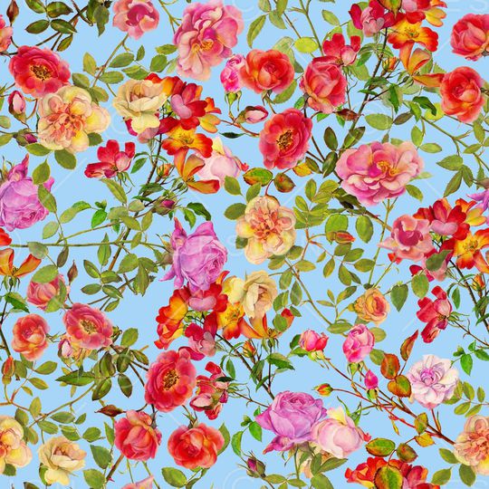 女装印花华亿平台图片