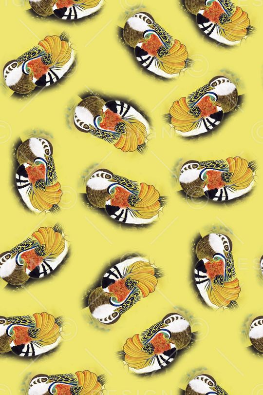 女装印花华亿平台图片