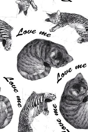 字母印花华亿平台图片