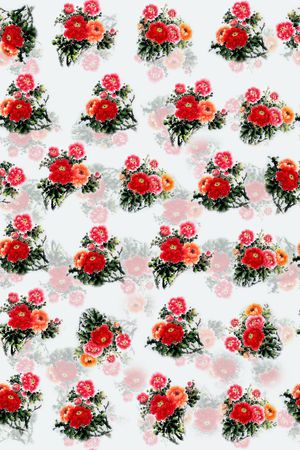 数码华亿平台印花华亿平台图片