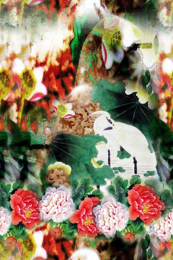 女装印花华亿平台图片