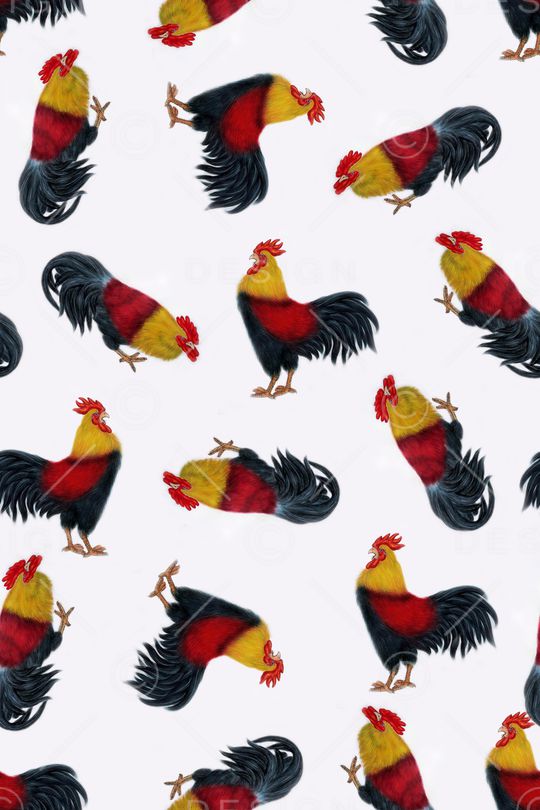 女装印花华亿平台图片