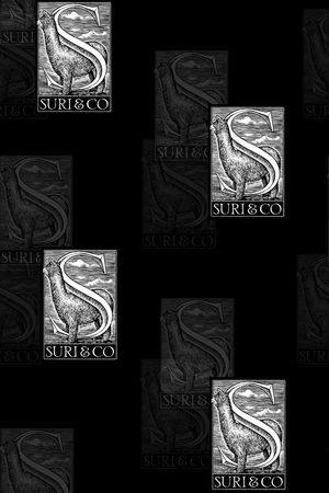 字母印花华亿平台图片