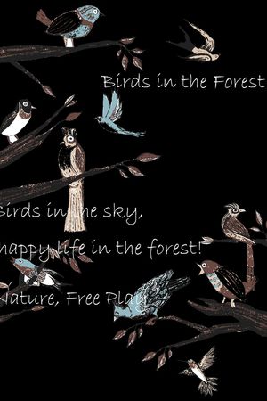 字母印花华亿平台图片