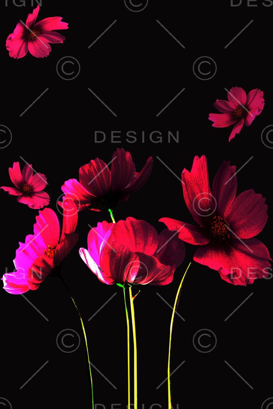 时尚印花华亿平台图片