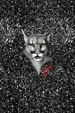 大牌男装印花华亿平台图片