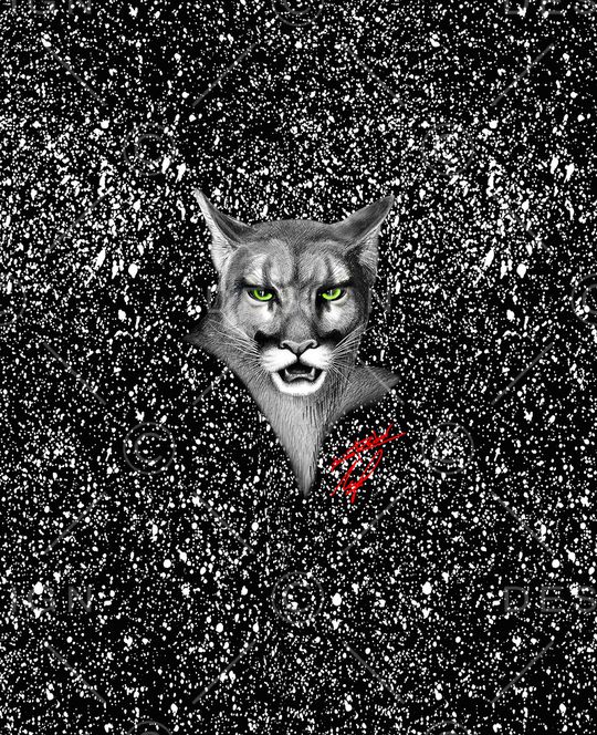 大牌男装印花华亿平台图片