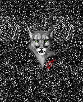 大牌男装印花华亿平台图片