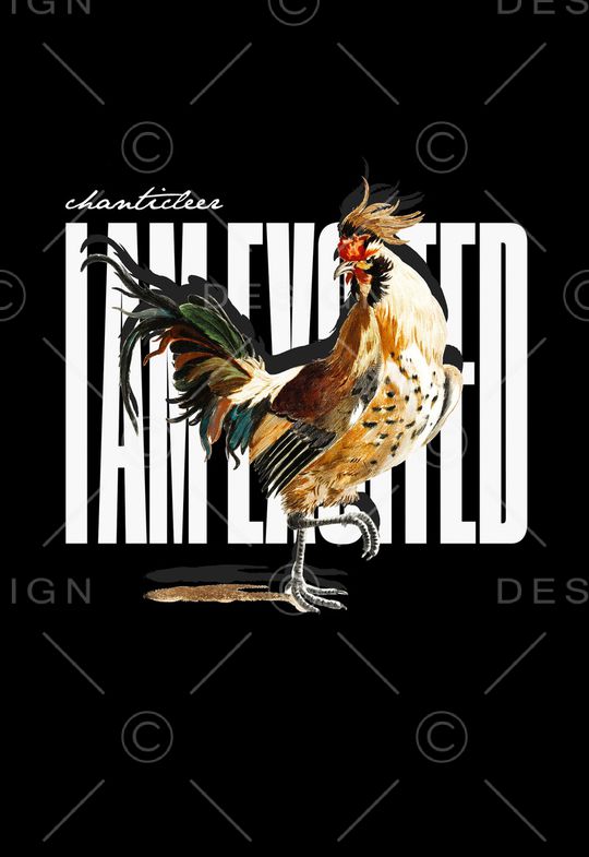 公鸡印花华亿平台图片