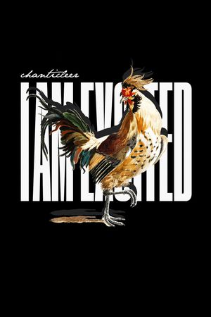 公鸡印花华亿平台图片