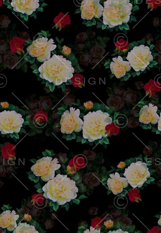 女装印花华亿平台图片