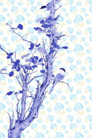 女装印花华亿平台图片