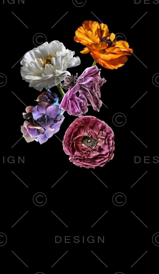 虞美人印花华亿平台图片