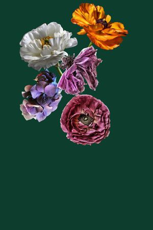 虞美人印花华亿平台图片