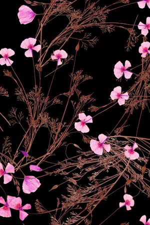 大牌风印花华亿平台图片