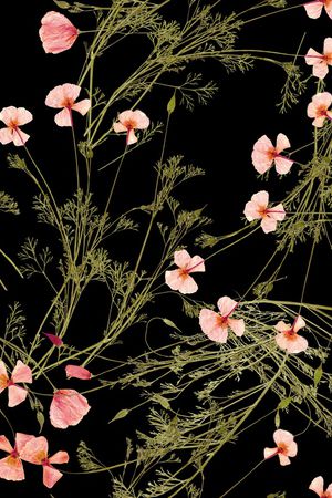 大牌风印花华亿平台图片