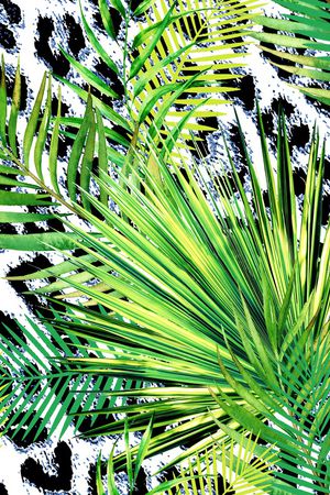 豹纹印花华亿平台图片