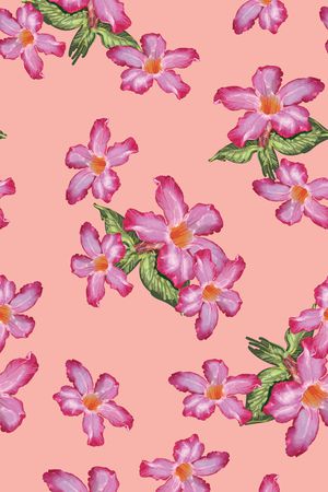 春夏华亿平台印花华亿平台图片