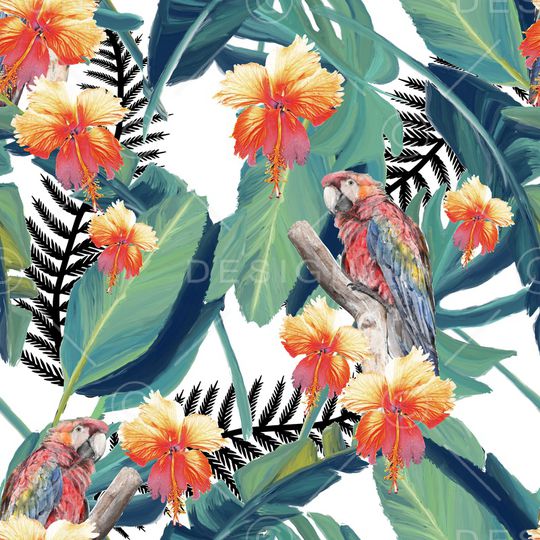 鹦鹉印花华亿平台图片