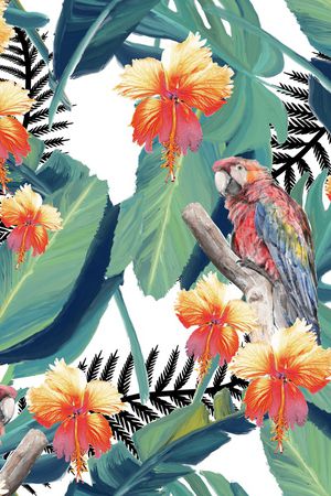 鹦鹉印花华亿平台图片