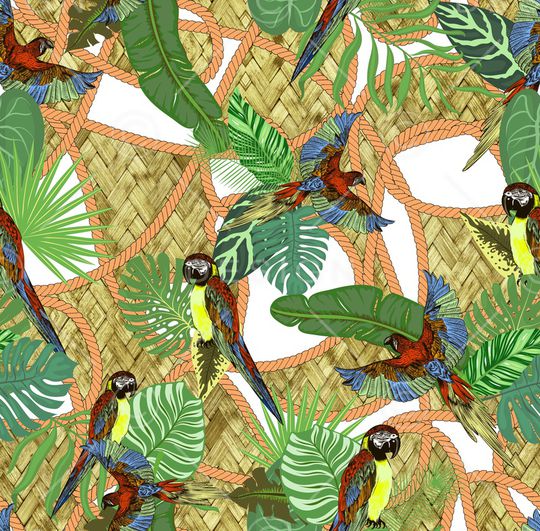 鹦鹉印花华亿平台图片