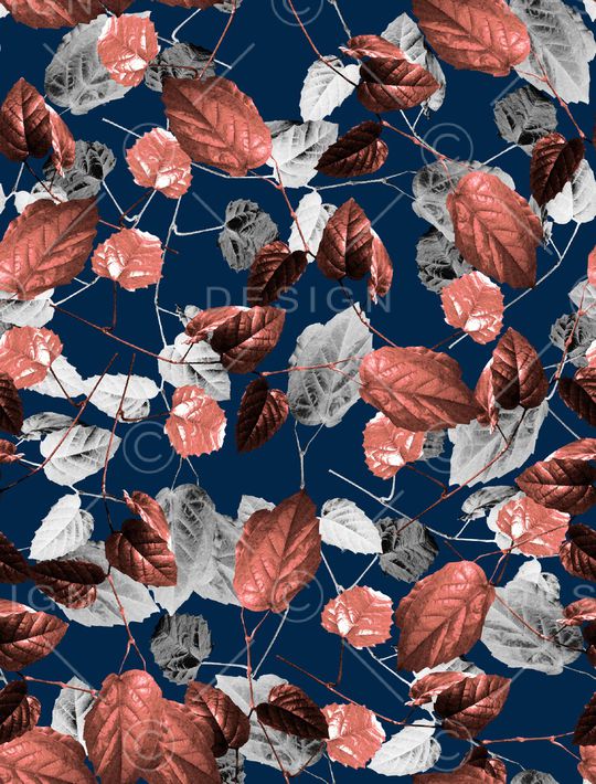 女装印花华亿平台图片