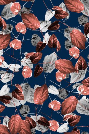 女装印花华亿平台图片