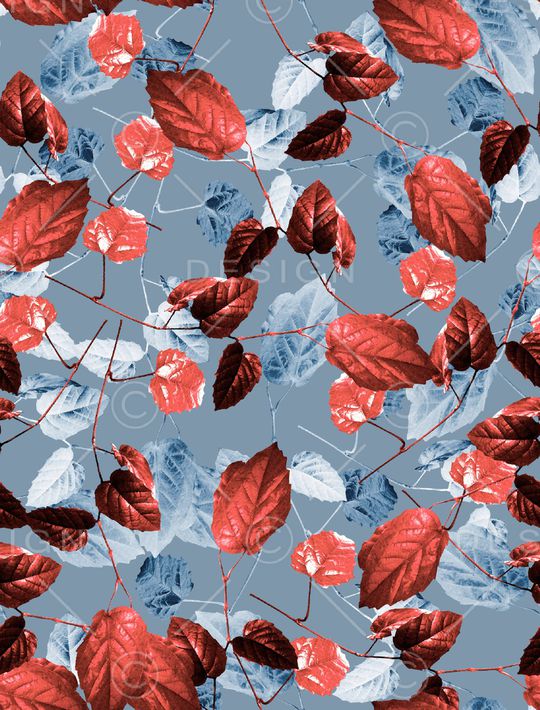 女装印花华亿平台图片