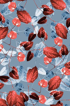 女装印花华亿平台图片