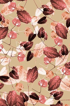 女装印花华亿平台图片