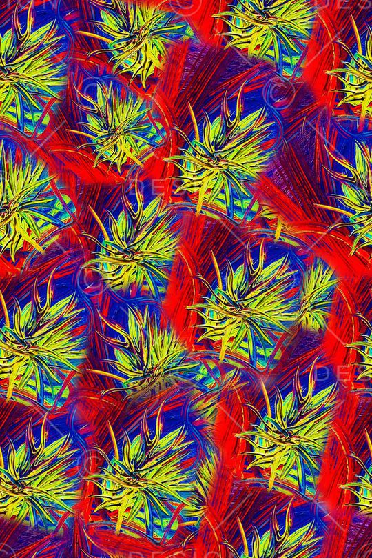 裤子印花华亿平台图片