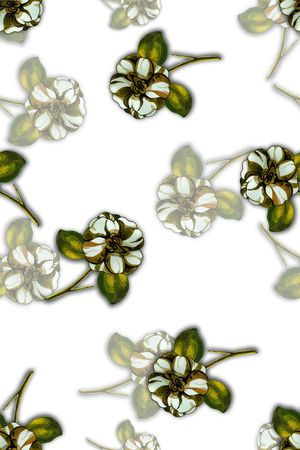 裤子印花华亿平台图片