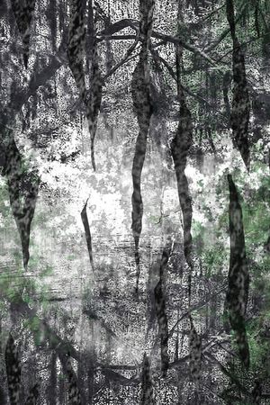 树枝印花华亿平台图片