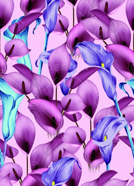 女装印花华亿平台图片