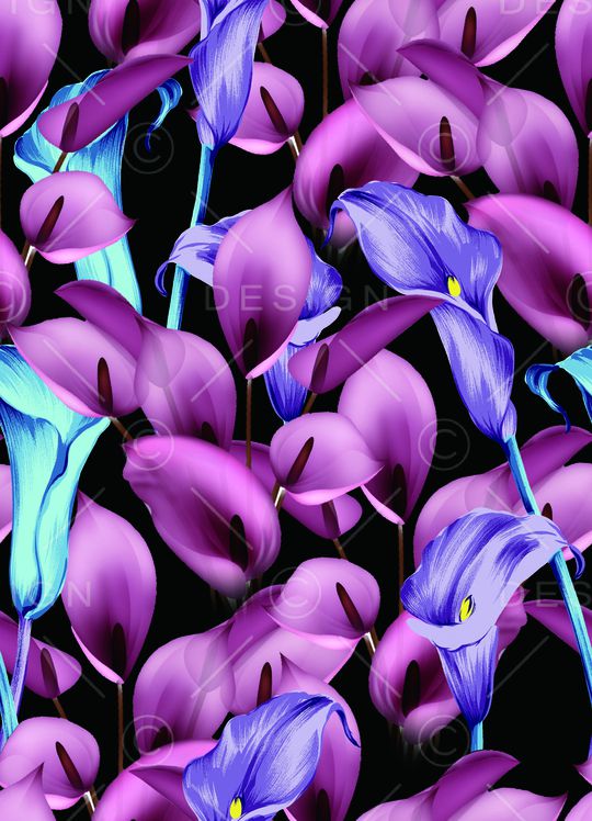 女装印花华亿平台图片