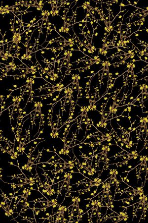 女装印花华亿平台图片